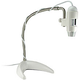 Illustration for article titled USB Digital Microscope is Great for Aspiring Scientists